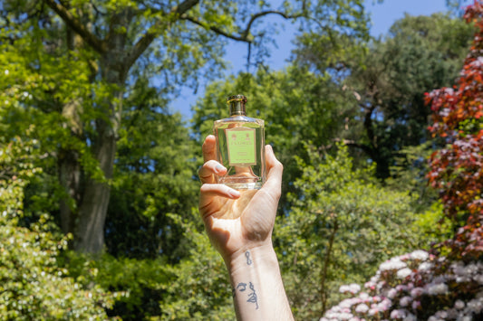 A hand holds up a bottle of Floris London's Jermyn Street fragrance high into green luscious trees on a sunny day. 