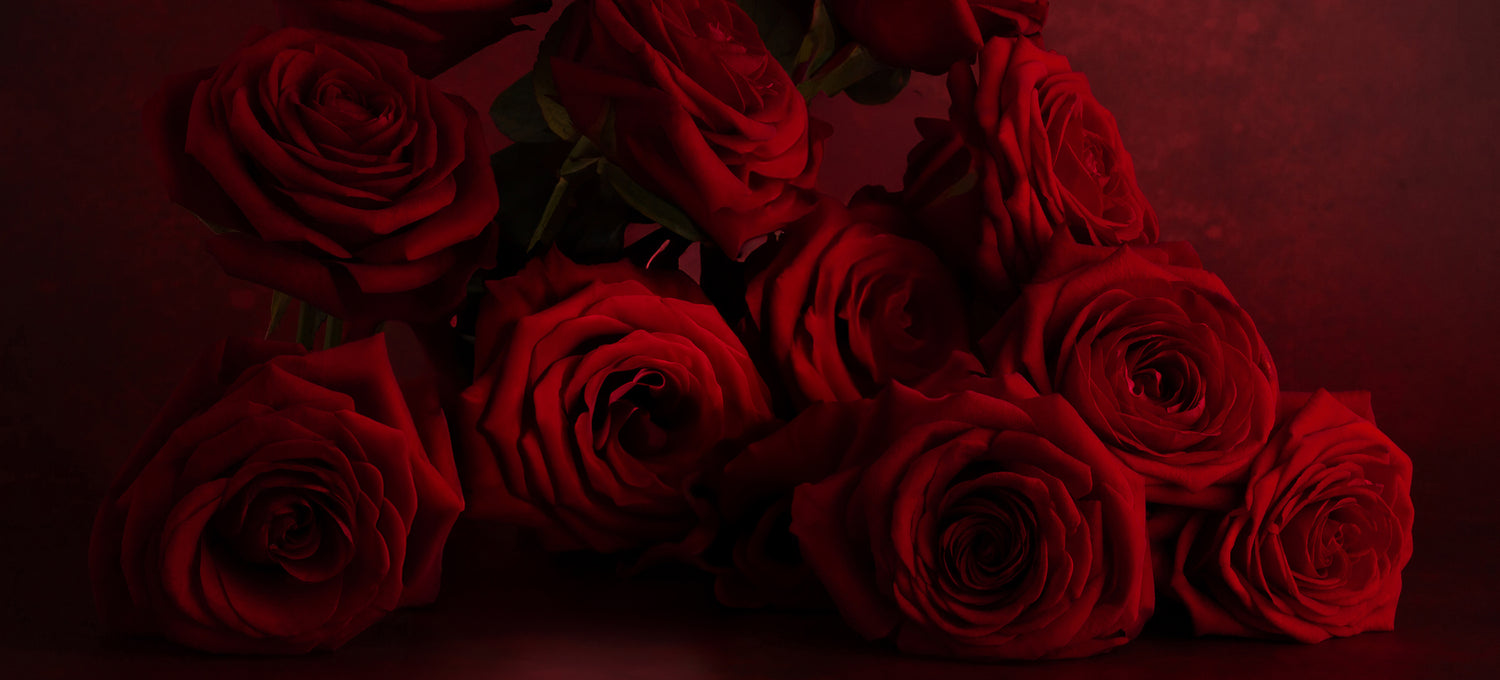 A Pile of Red Roses on a Red background