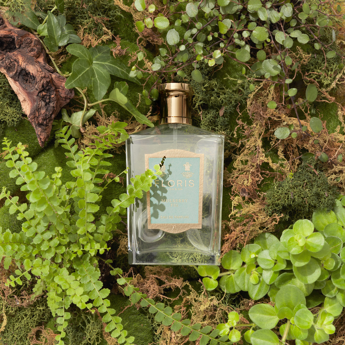 The Mulberry Fig - Eau de Parfum by Floris London sits on lush plants and moss, exuding a floral amber fragrance.