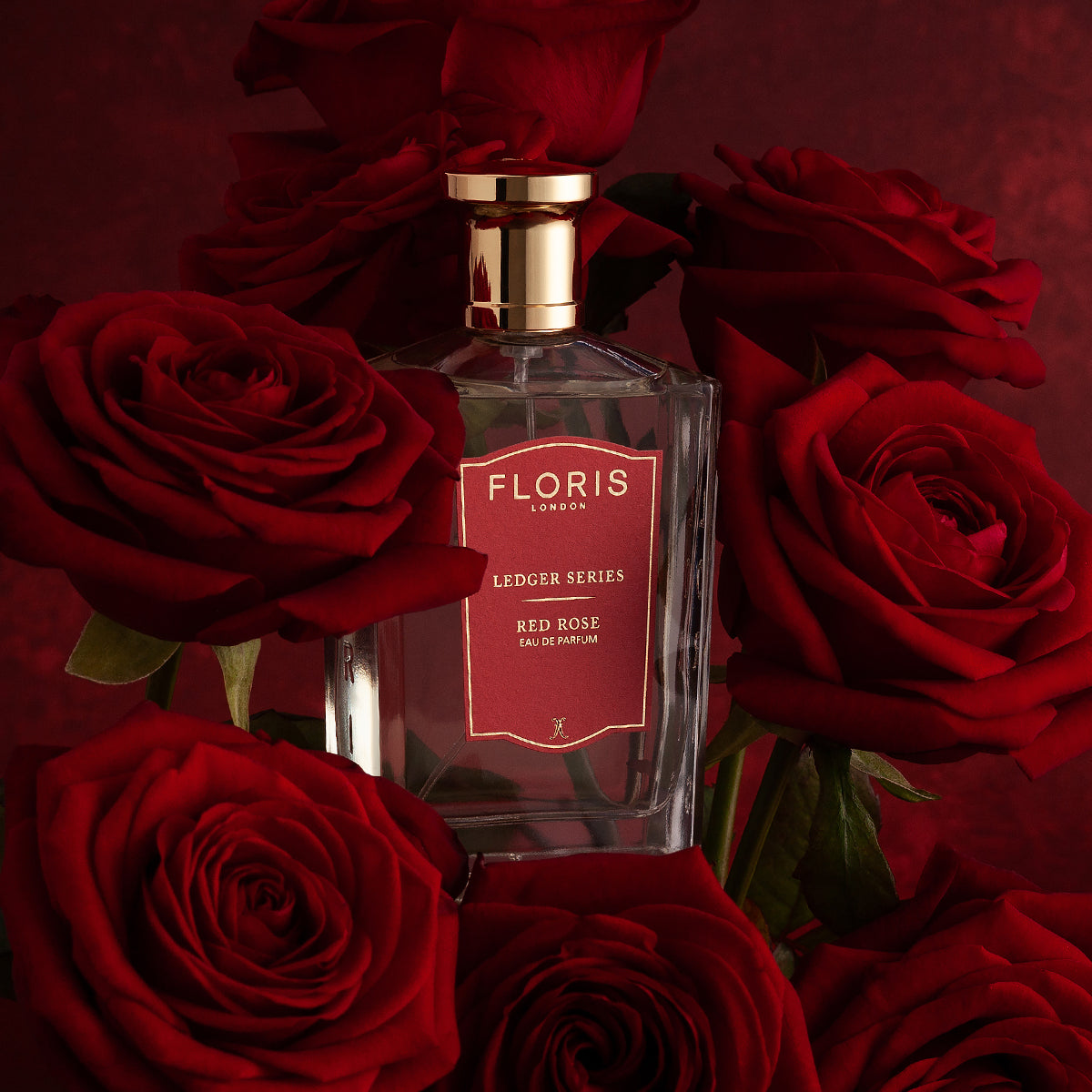 A "Floris London UK" Red Rose perfume bottle nestles among vibrant red roses on a dark backdrop, capturing the essence of rose absolute.